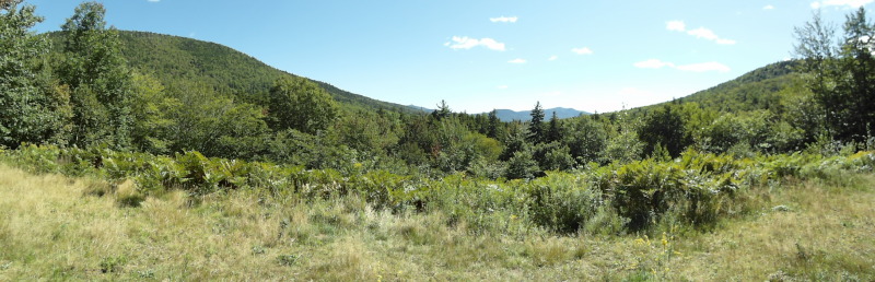 View of Mount Chocorua from the Northern Side of Bear Notch Road