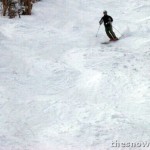 Skier on Zoomer Liftline