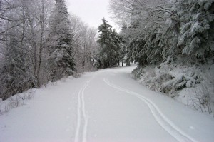 Skiing the Carriage Road