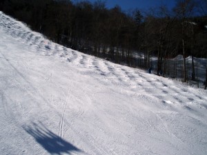 Firm Bumps on Flume