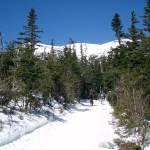 Mount Washington from the TRT