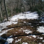 Sherburne Trail