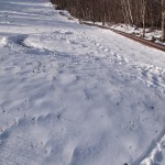 Tracks Down Avalanche