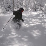 Harvey Skis Boot Deep Powder in the Trees