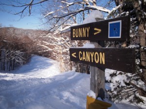 Bunny or Canyon