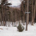 Snowmaker's Gully at Bretton Woods