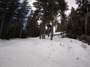 Boundary Line at Bretton Woods