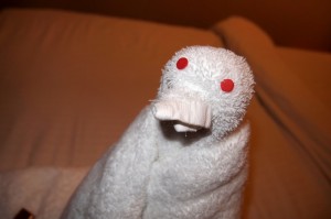 Penguin Towel